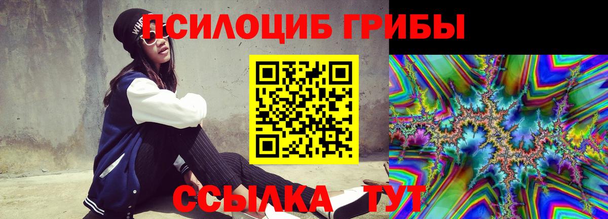 Псилоцибиновые грибы прущие грибы Нижний Новгород